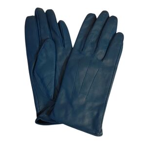 Leather Lined Blue Gloves